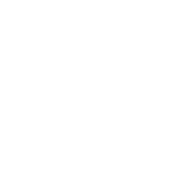 AI Services Icon