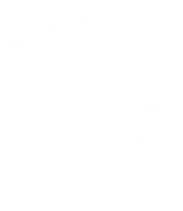 Cyber Security Icon