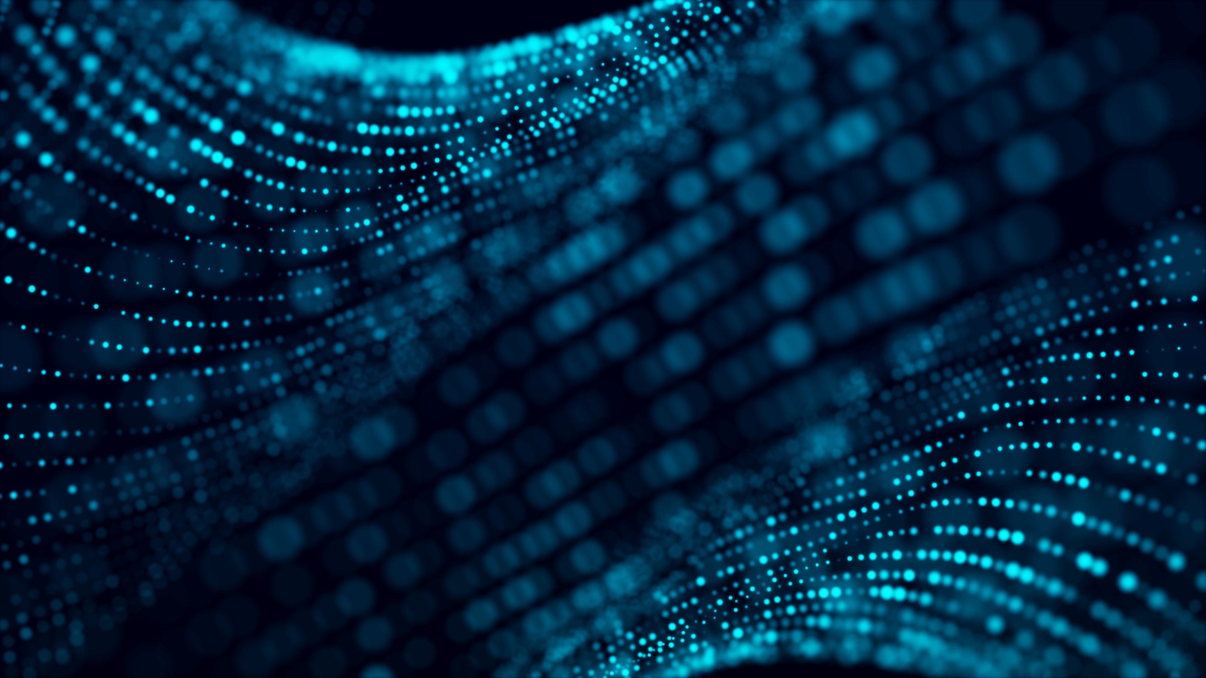 Digital Services