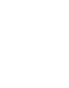 Customer Satisfaction Icon